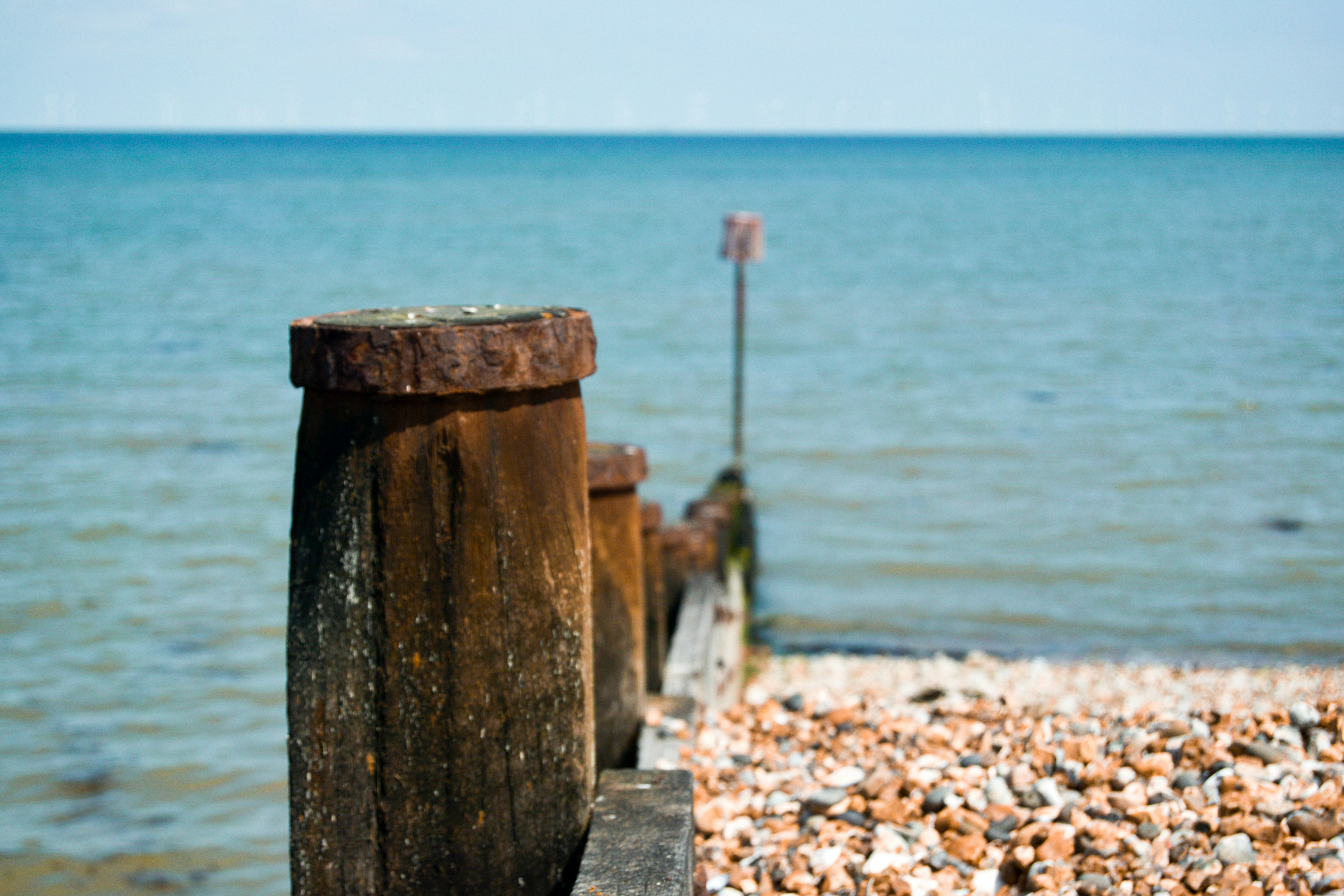 brown wooden log on beach shore during daytime